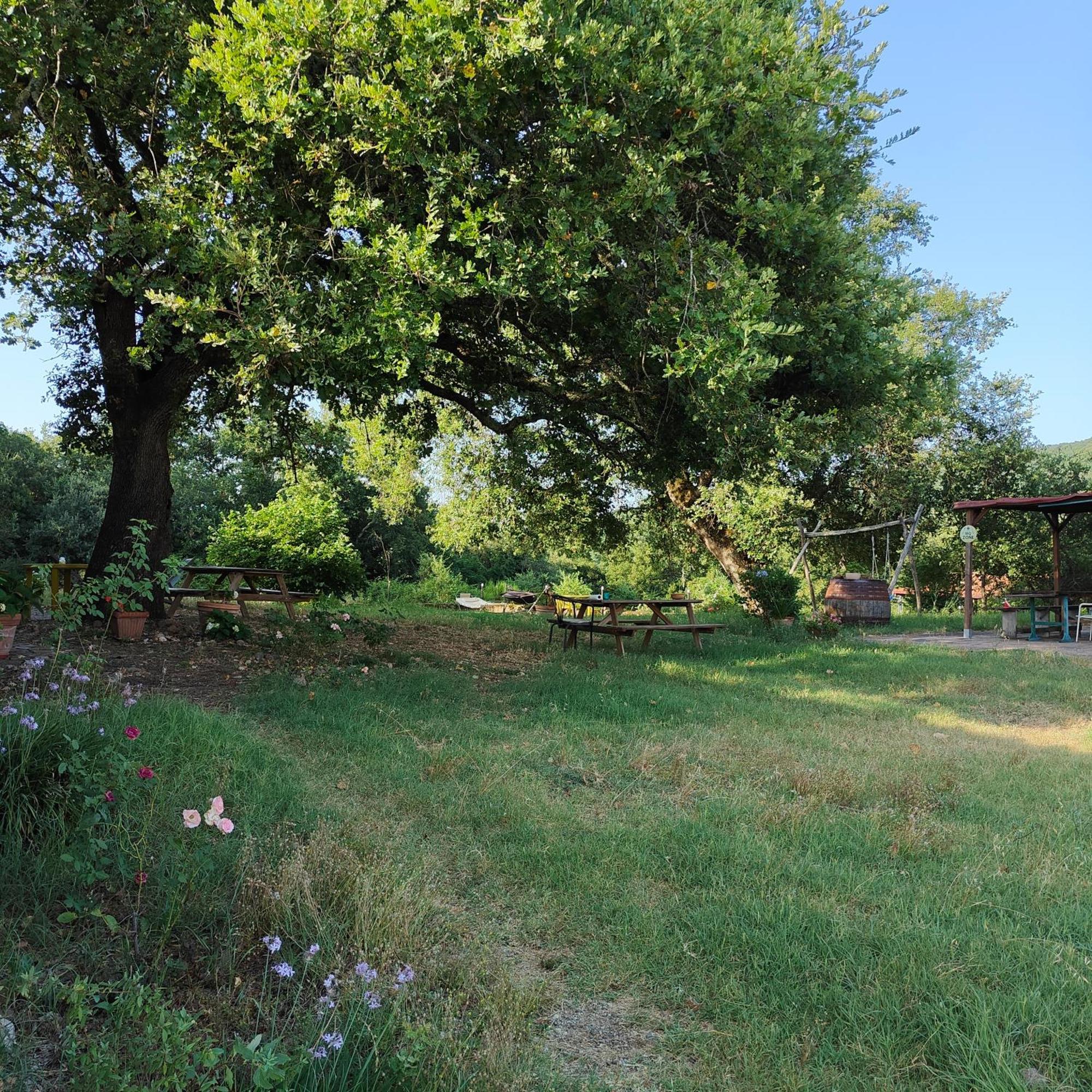 Agriturismo Il Casalino Pari Εξωτερικό φωτογραφία
