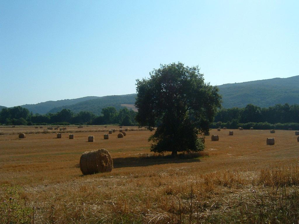 Agriturismo Il Casalino Pari Εξωτερικό φωτογραφία