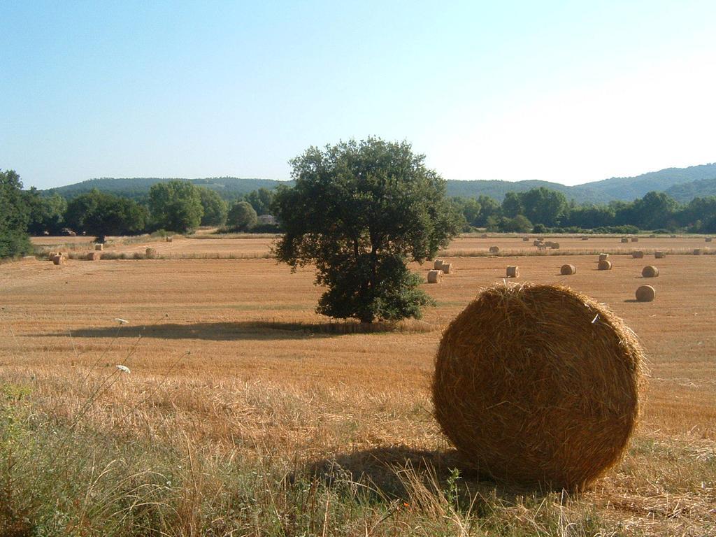 Agriturismo Il Casalino Pari Εξωτερικό φωτογραφία