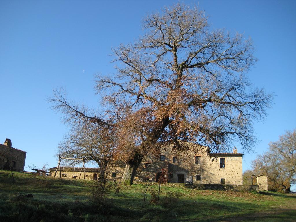 Agriturismo Il Casalino Pari Εξωτερικό φωτογραφία