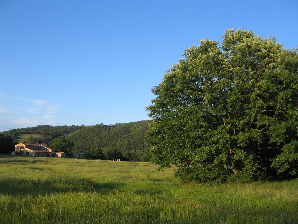 Agriturismo Il Casalino Pari Εξωτερικό φωτογραφία
